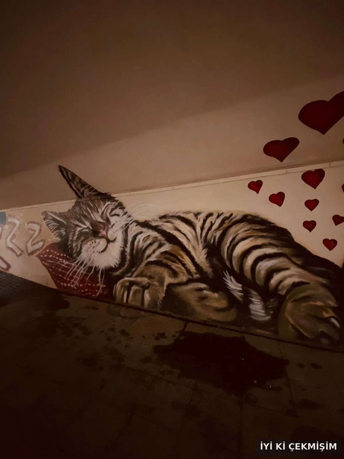 Kadıköy Feride Alt Geçidi, 2025: Kalpli kedi duvar resmi