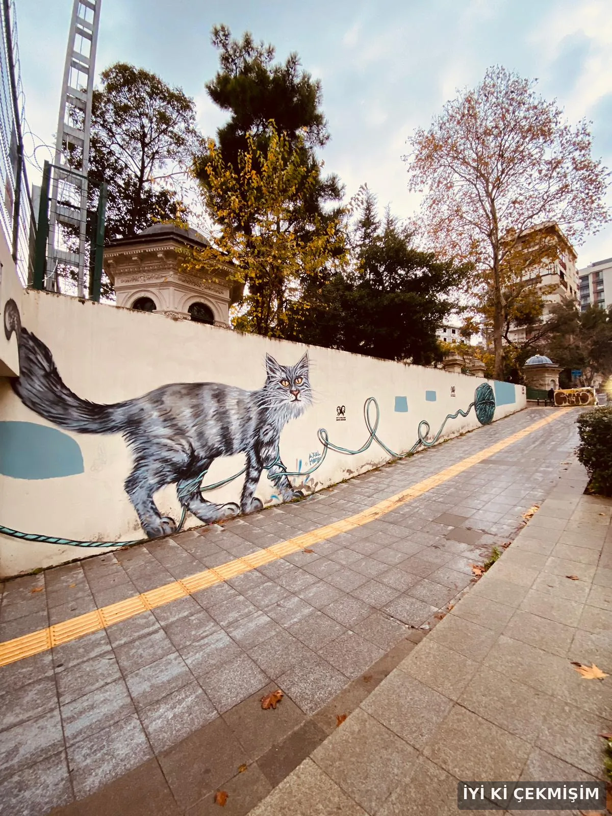 Kadıköy Feride Alt Geçidi, 2025: Duvar üzerindeki büyük kedi resmi