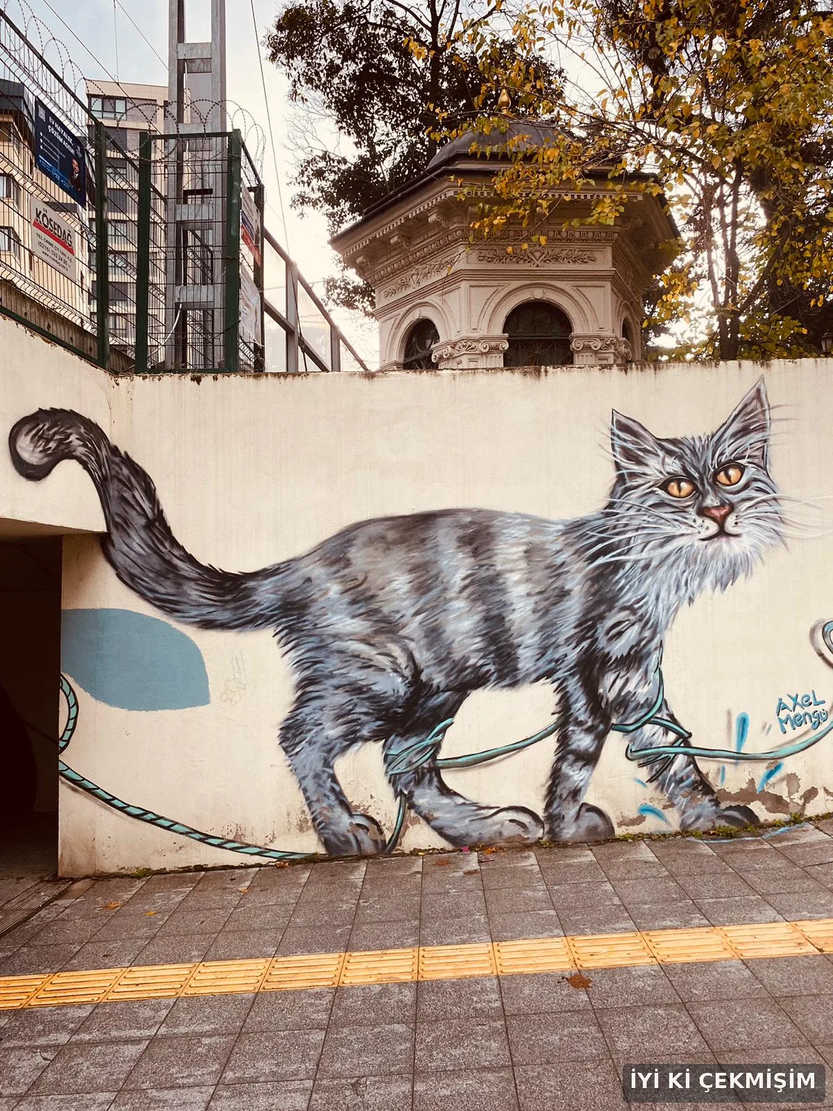 Kadıköy Feride Alt Geçidi, 2025: Kedi duvar resminin yakından görünümü